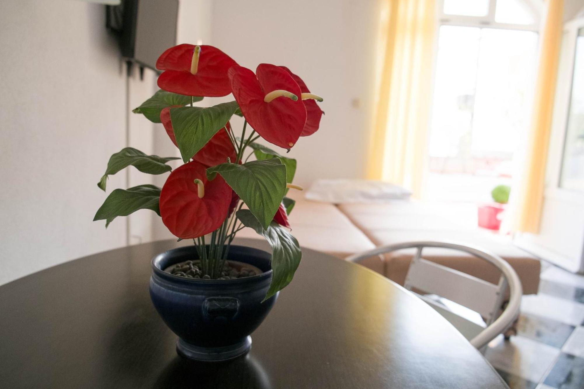 Apartments Damjanovic Makarska Pokój zdjęcie